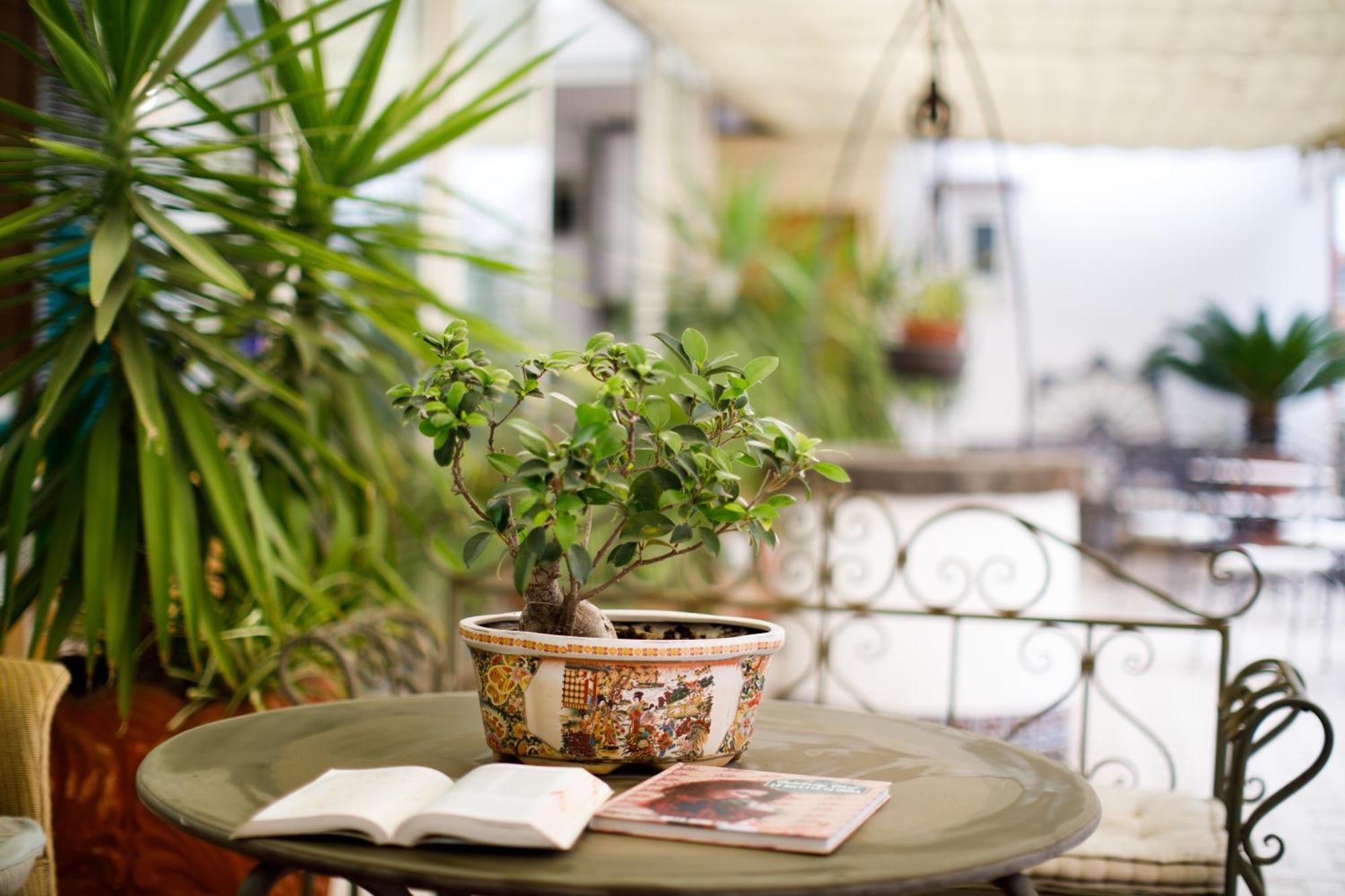 Del Corso Hotel Sorrente